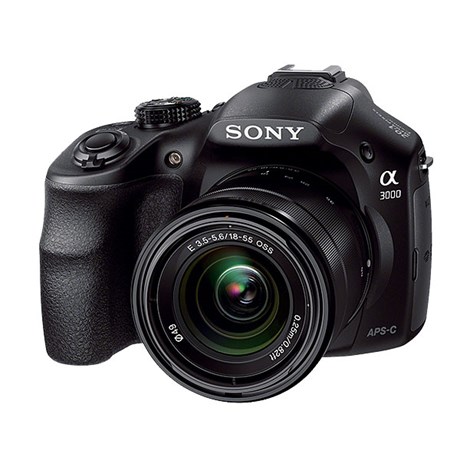 sony2.jpg